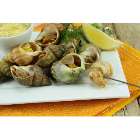 Achat et vente de bulots cuits en ligne par monbeaupoisson.fr